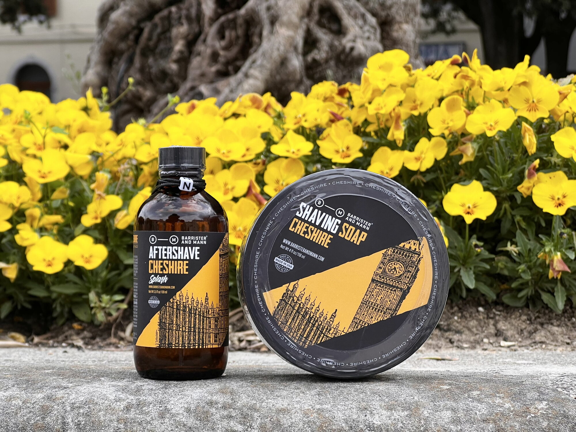 Barrister and Mann. The story of a barrister and a man