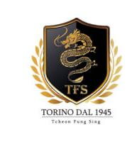 T.F.S TORINO