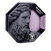Saponificio Bignoli Lavanda Balsamica Hand and body soap: primary picture